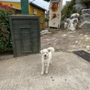 비비오토캠프 이미지