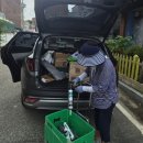 청심로 Daum카페