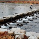 거창군청 이미지