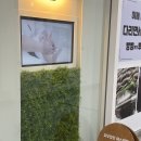 피부정원 네이버블로그