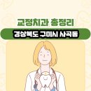 원우치과의원 | 경상북도 구미시 사곡동 교정치과 총정리