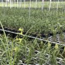 혜란농장 이미지