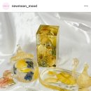 뉴문무드