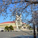 군산월명종합경기장실내체육관 이미지