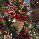 구청민원실 | 서초구청 여권민원실 후기 운영시간 주차 수수료 정리