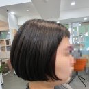 더칼라 | 압구정에서 시어브라운 제대로 찾았어요 | 더칼라라운지 담백후기