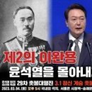 좌파의 반일,우파의 친일 모두 틀렸다 이미지