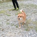 다미공인중개사사무소 이미지