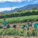 아이솔어린이집 이미지