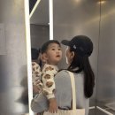 퍼펙트플레이 키즈카페 | 인천 키즈카페추천 서구 퍼플주니어키즈카페 퍼펙트 플레이 서창점 내돈내산 후기