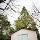 원북방갈분교 이미지