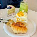 누구나 건강 베이킹 | 원주 쌀소금빵 맛집 쿠치나 디 세나 솔직한 후기