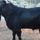 홍기농장 이미지