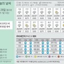 28 이미지