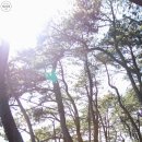 항골농장 이미지