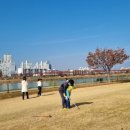 가곡유소년축구장 이미지