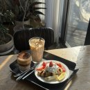 경기켄넬 | 경기 이천 실내 애견동반 대형카페 : 테이크그린