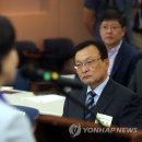 (주)고릴라바나나 이미지