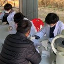 비전옵틱스 이미지