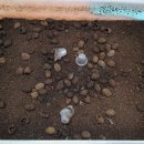 동해곤충농장 이미지