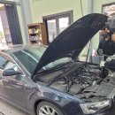 SEA 모터스 이미지