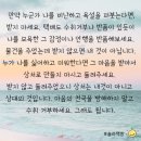 윤세탁소 이미지