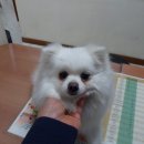 양천구청 이미지