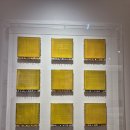 대림카매니아 | 서울숲 디뮤지엄 취향가옥2 Art in Life, Life in Art 2