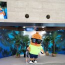 4일 560g 조산아/미숙아/이른둥이/생후 160일/교정59일/집 온지 27일/캠핑페어&커튼<b>픽</b>&<b>이사</b>갈 집 둘러보기