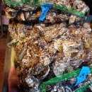 뻘낙지수산 이미지