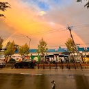 정외과의원 | 나의 아홉 이야기..