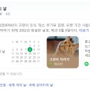 미미코코 이미지