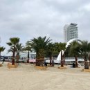 야자수하우스 이미지