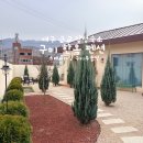 스테이더담 구미무을점 이미지