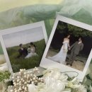 아로하 | 제주스냅 아로하데이 후기✺❀्