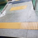 칠서이룡체육관 이미지