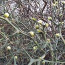 울안농장 이미지