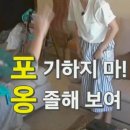 오렌지애견 이미지