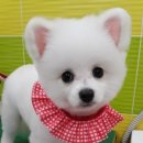 동래종합동물병원 이미지