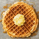 와플대학협동조합 이미지