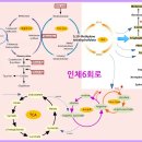 오투대신에너지 - 6940 | 오투대신에너지