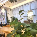 다옴헤어살롱 이미지