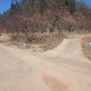 새자연공인중개사사무소 이미지