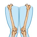 퍼스트핏 이미지