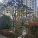 평거엠코앞 네이버블로그