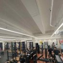 분당-113 이미지