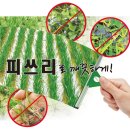 ㈜유현환경 | 논 잡초방제의 시작! 이앙전 처리제!