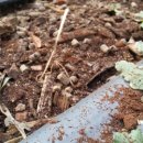 오가네 농장 이미지