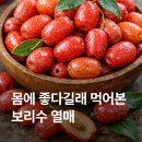 보리수약국 | 보리수 열매 몸에 좋다길래 먹었더니… 효능 부작용 정리
