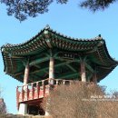 본래순대 영월점 | 소금산출렁다리 / 청풍문화단지 / 교동민화마을 / 배론성지 - 제천여행